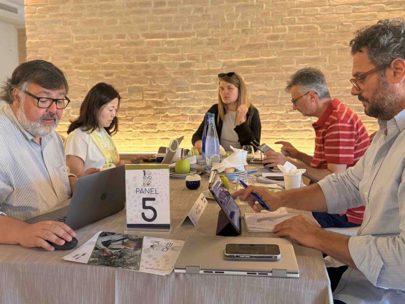 EVO IOOC ITALY: CONCLUSI A PALMI GLI ASSAGGI DELL'EDIZIONE 2026, NUMERI RECORD E QUALITÀ SENZA PRECEDENTI